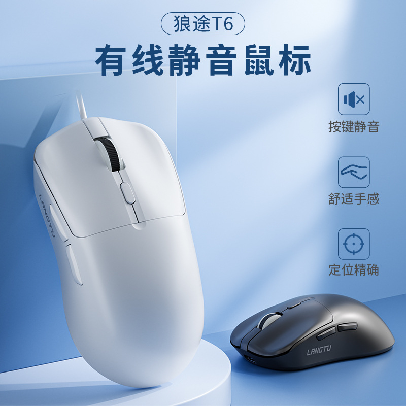 Computer Mouse